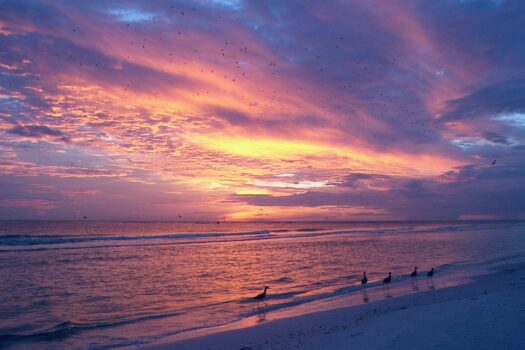 Siesta Key – Midnight Cove – Beach Front Condo 463
